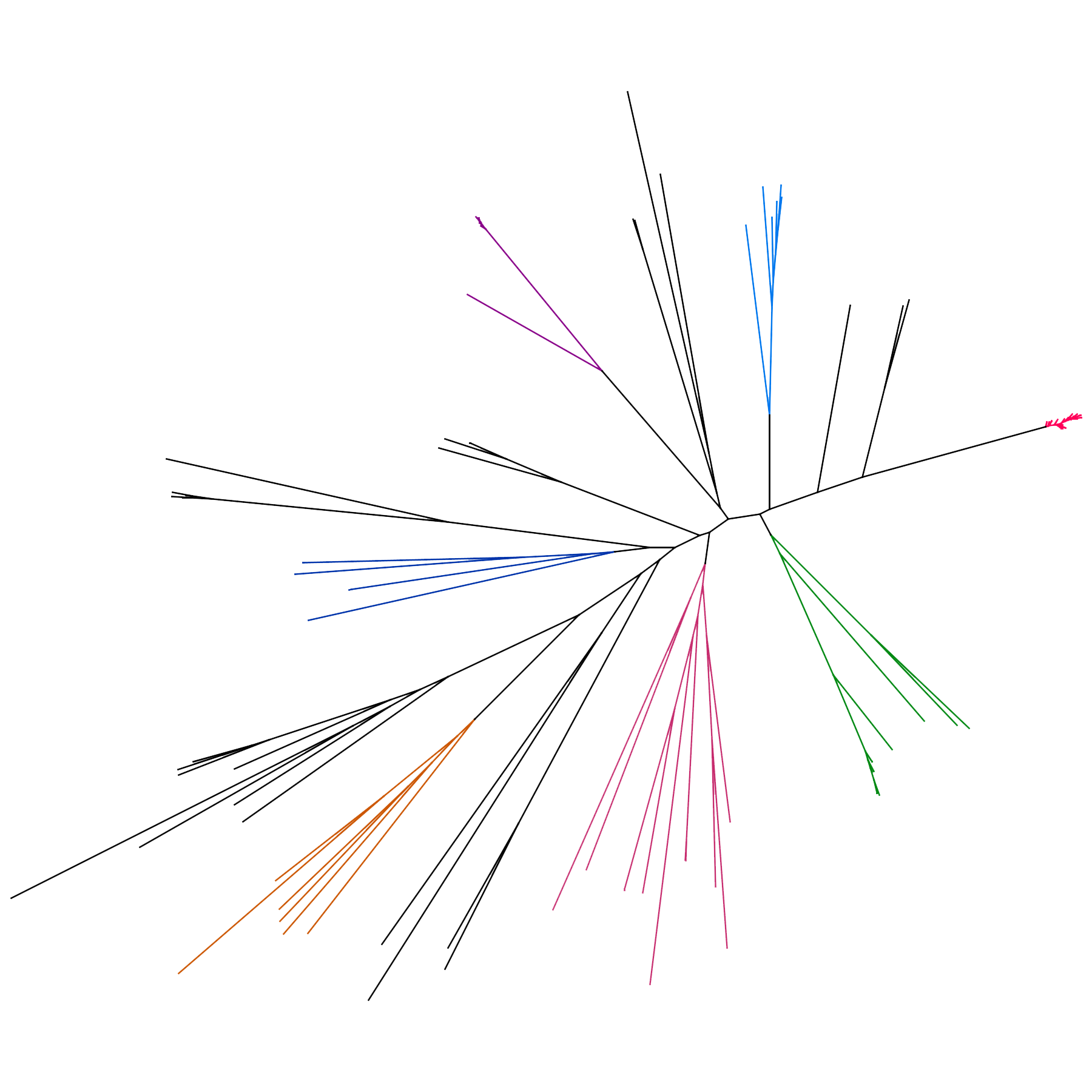 crisprminer